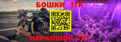 прущие грибы Краснокаменск