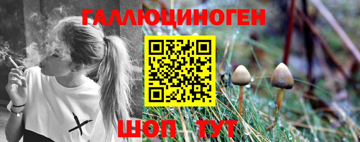 Галлюциногенные грибы Cubensis Улан-Удэ